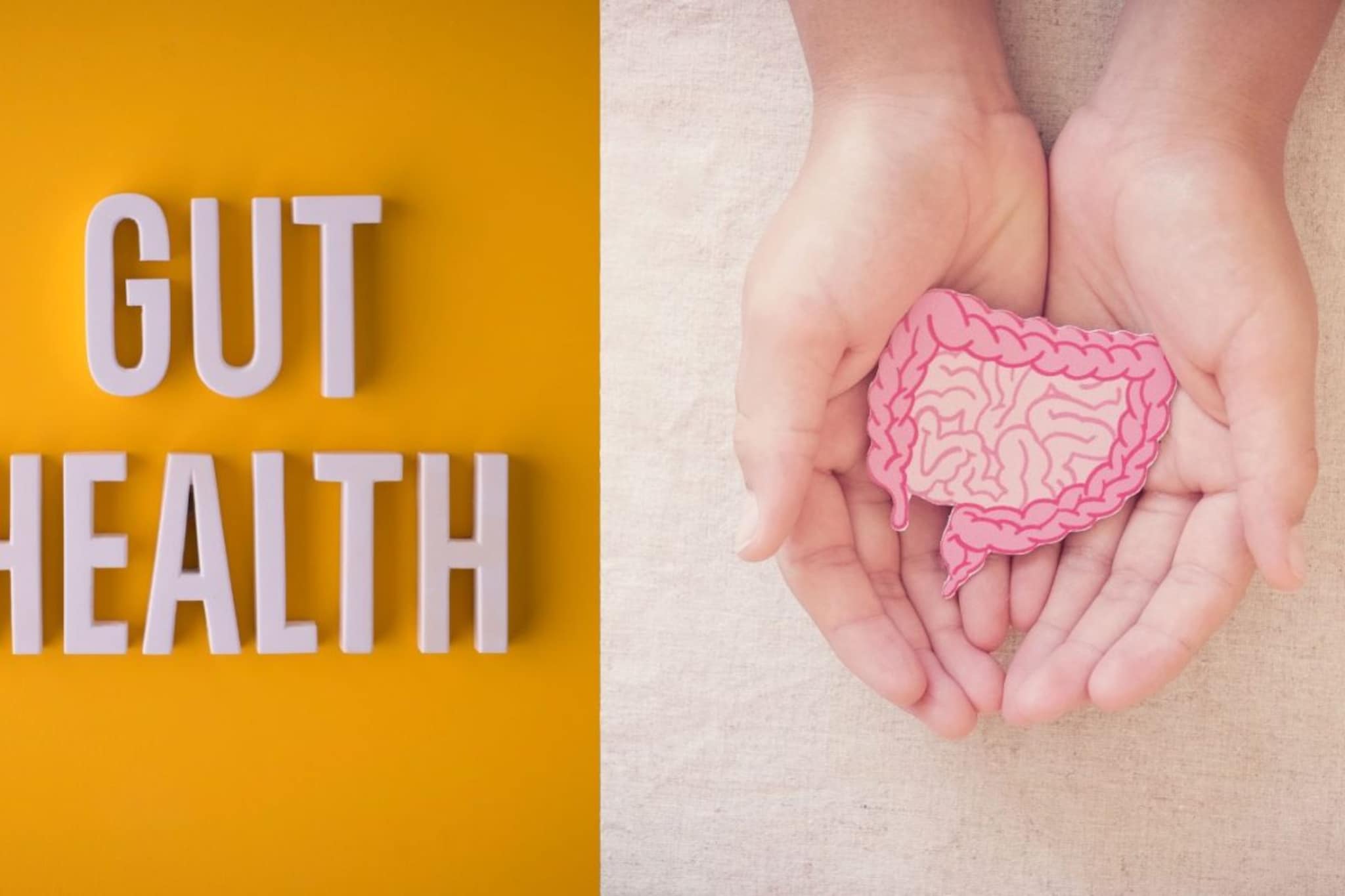 Gut Health : पचनसंस्थेच्या सतत तक्रारी येत असतील वेळेत व्हा अलर्ट, काही सवयी बदलल्या तर पोट येईल ताळ्यावर 