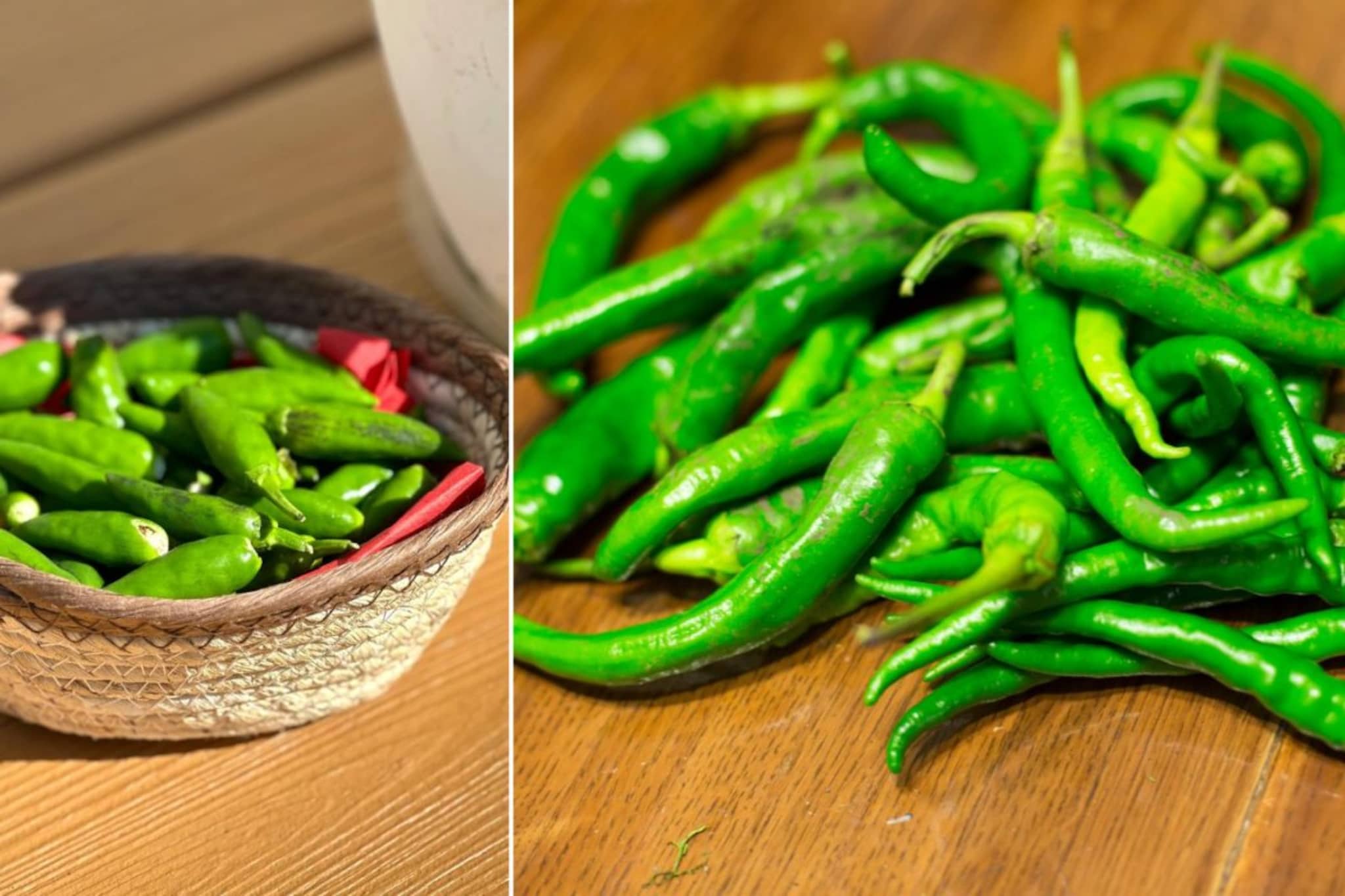 हिरव्या मिरच्या साठवण्याची ही पद्धत तुम्हाला माहितीये? 3 ते 4 आठवडे राहतात फ्रेश!