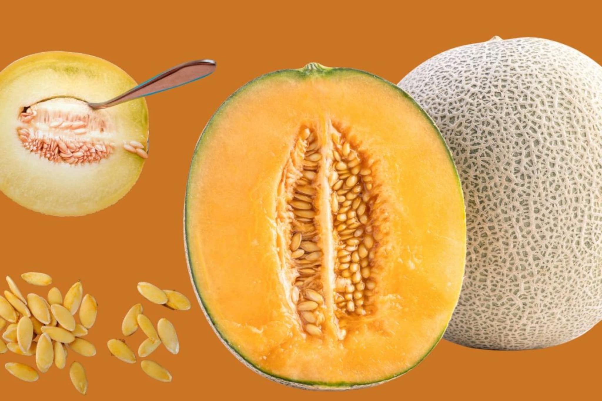 खरबुजाच्या बियांचे 'हे' उपयोग 90% लोकांना माहीतच नसतात! फेकण्यापूर्वी नक्की वाचा