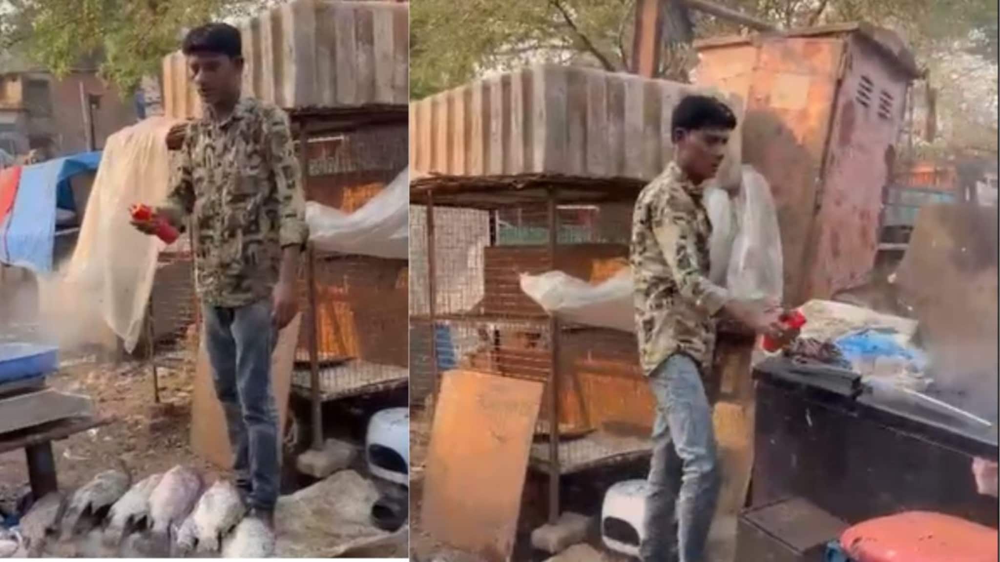 वसईकरांच्या जीवाशी खेळ! चक्क माशांवर मारला झुरळ मारण्याचा 'लाल हिट' स्प्रे; धक्कादायक व्हिडिओ व्हायरल