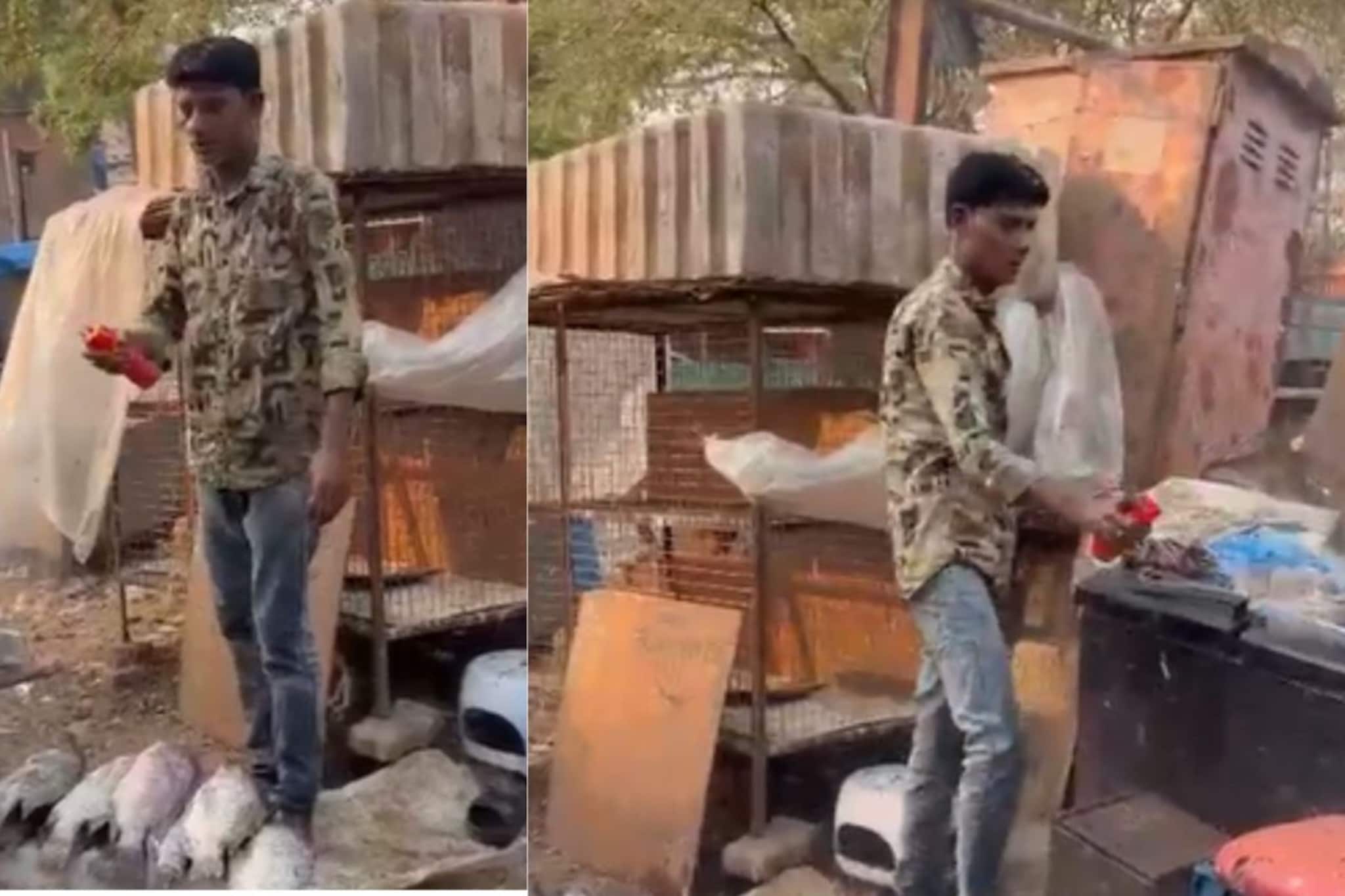 वसईकरांच्या जीवाशी खेळ! चक्क माशांवर मारला झुरळ मारण्याचा 'लाल हिट' स्प्रे; धक्कादायक व्हिडिओ व्हायरल