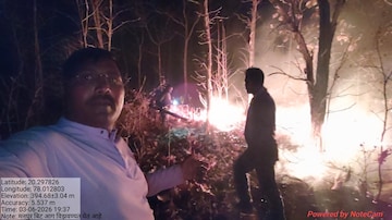  बचावासाठी झाडावर चढले पण....वणवा विझवताना होरपळलेल्या वनपालाचा उपचारादरम्यान मृत्यू  