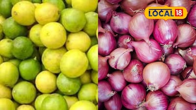 APMC Market: Lemon prices volatile, check latest rates for onion, grape, banana