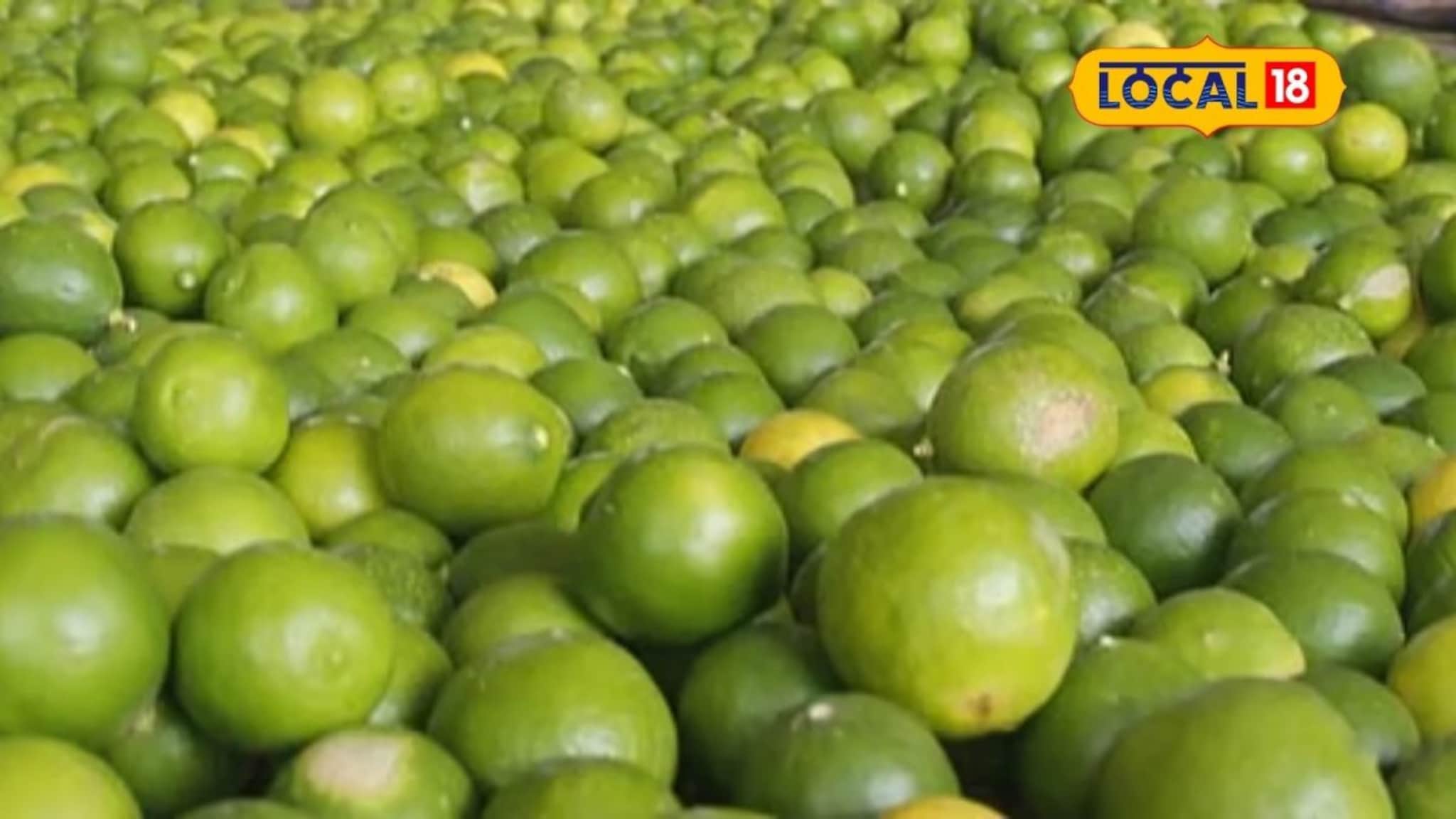 APMC Market: लिंबू इतके महाग का झाले, द्राक्षाची काय स्थिती? मार्केटमधून मोठी अपडेट