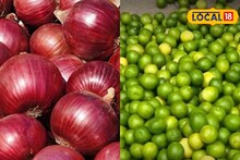 APMC Market : शेतकऱ्यांसाठी चिंताजनक बातमी, कांद्याचे दर पुन्हा कोसळले, लिंबाला काय मिळाला भाव?