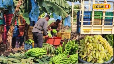 APMC Market: ऊन तापलं, मार्केट हाललं, लिंबू, केळीची आवकेत घट; द्राक्षे, कांद्याला कुठं मिळाला भाव? 
