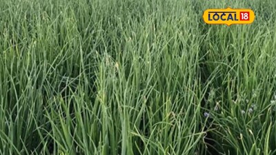 सेंद्रिय शेतीचा चमत्कार: महेश राठोड यांनी कांद्याच्या पिकातून 6 लाख कमावले!