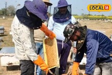 Success Story : साप-कोल्ह्यांचा त्रास सहन केला, माशांनीही दंश मारला, पण शुभमने अखेर उभारला साखरेहून गोड बिझनेस!