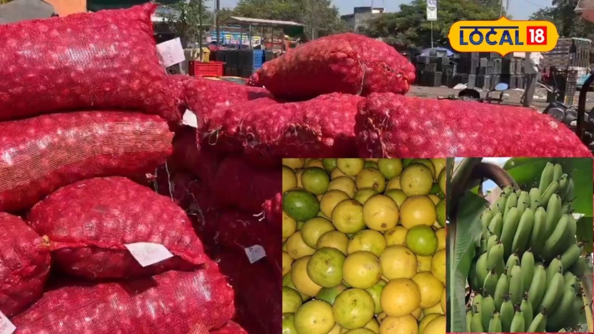 APMC Market: लिंबू, द्राक्षांनी मार्केट खाल्लं, कांदा अन् केळीला कुठं मिळाला सर्वाधिक भाव? APMC Market: लिंबू, द्राक्षांनी मार्केट खाल्लं, कांदा अन् केळीला कुठं मिळाला सर्वाधिक भाव?