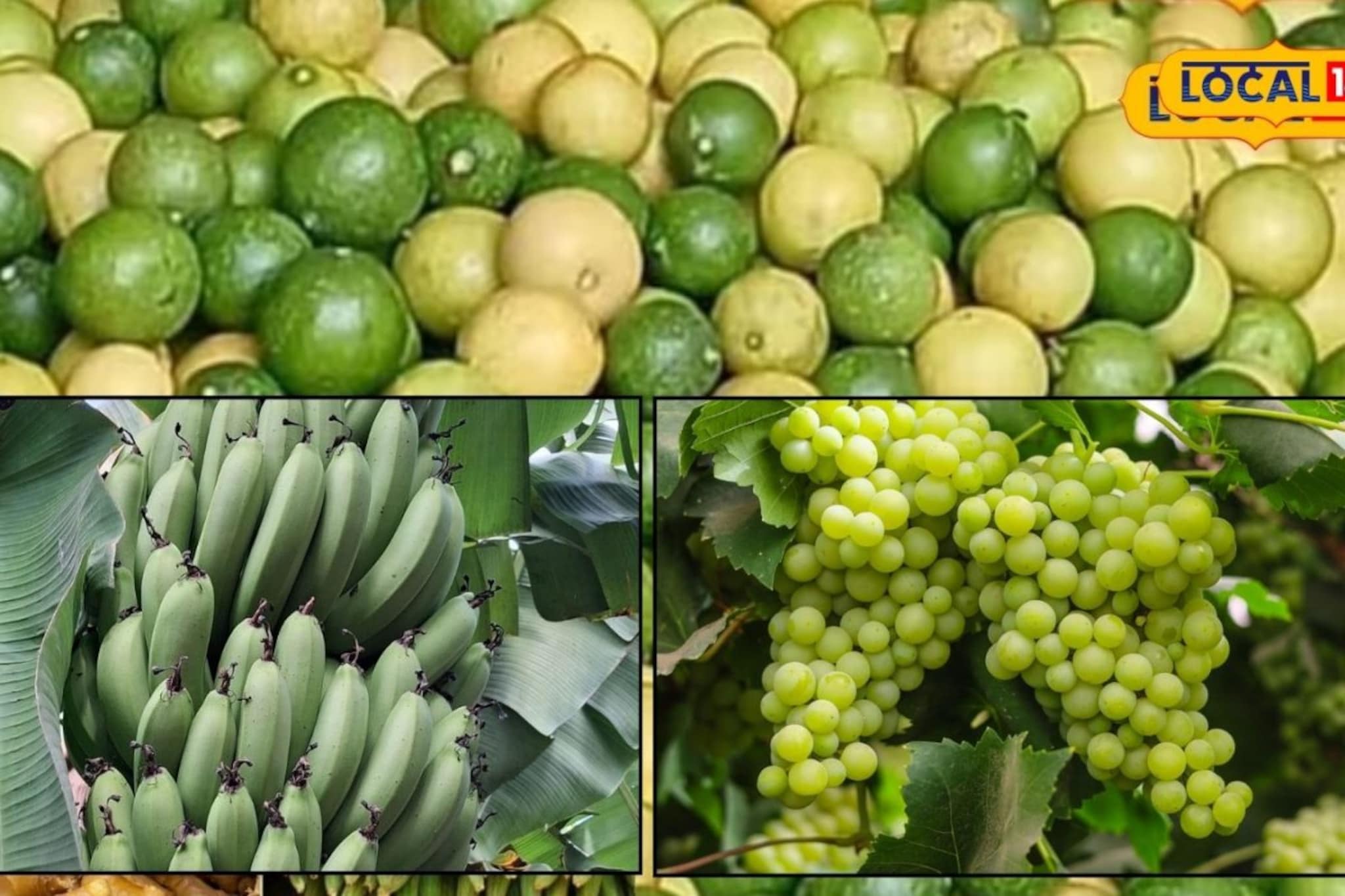 केळीची आवक घटली, लिंबूनं खाल्ला भाव, कांदा अन् द्राक्षांना कुठं मिळाला जास्त दर?