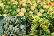 APMC Market: केळीची आवक घटली, लिंबूनं खाल्ला भाव, कांदा अन् द्राक्षांना कुठं मिळाला सर्वाधिक दर?