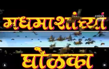 बापरे बाप! Bigg Boss Marathi 6 च्या घरात 'मधमाश्या'; सदस्यांवर हल्ला, उडाला गोंधळ