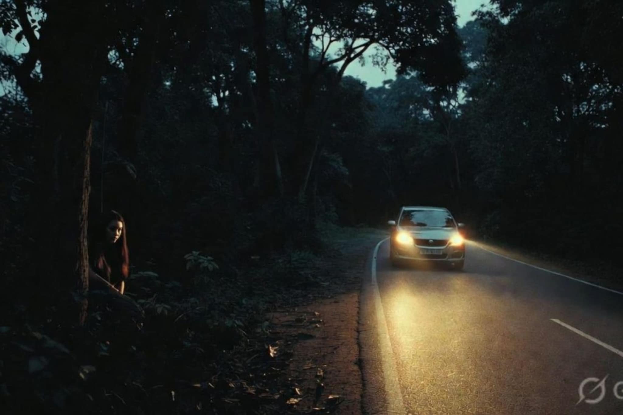 रात्री दीड वाजता घडला भयंकर प्रकार, तरुणी रात्रभर जखमी अवस्थेत जंगलात लपली रात्री दीड वाजता घडला भयंकर प्रकार, तरुणी रात्रभर जखमी अवस्थेत जंगलात लपली