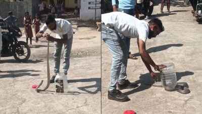 एम्बुलेंस चालक ने पैसे मांगे, बीच रास्ते से लौटाया; सांप बचाने वाले की मौत, बुलढाणा में हड़कंप.