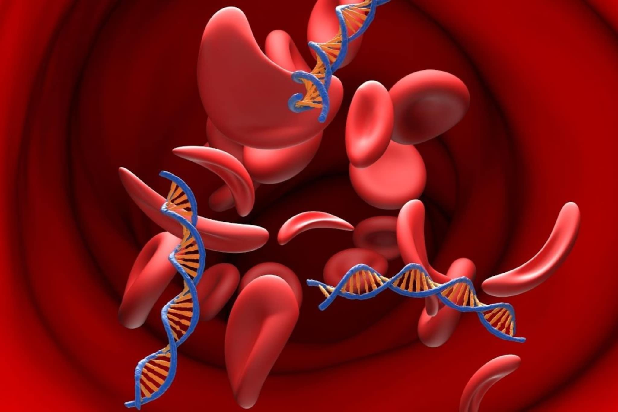 Blood Cancer : शरीरातील 'या' बदलांकडे दुर्लक्ष करू नका; ब्लड कॅन्सरची ही लक्षणे असू शकतात धोक्याची घंटा