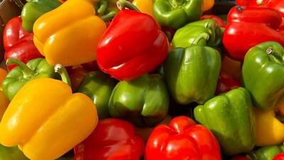 प्रतिकात्मक फोटो