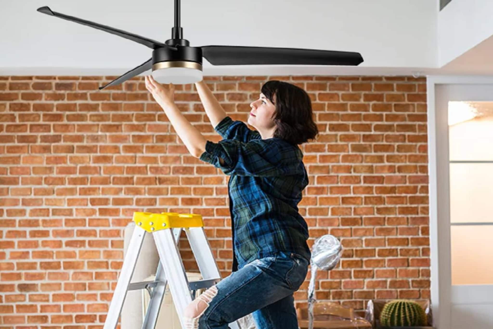 पंख्याचा खुपच आवाज येतोय का? लगेच करा हे काम, पैशांची होईल बचत पंख्याचा खुपच आवाज येतोय का? लगेच करा हे काम, पैशांची होईल बचत