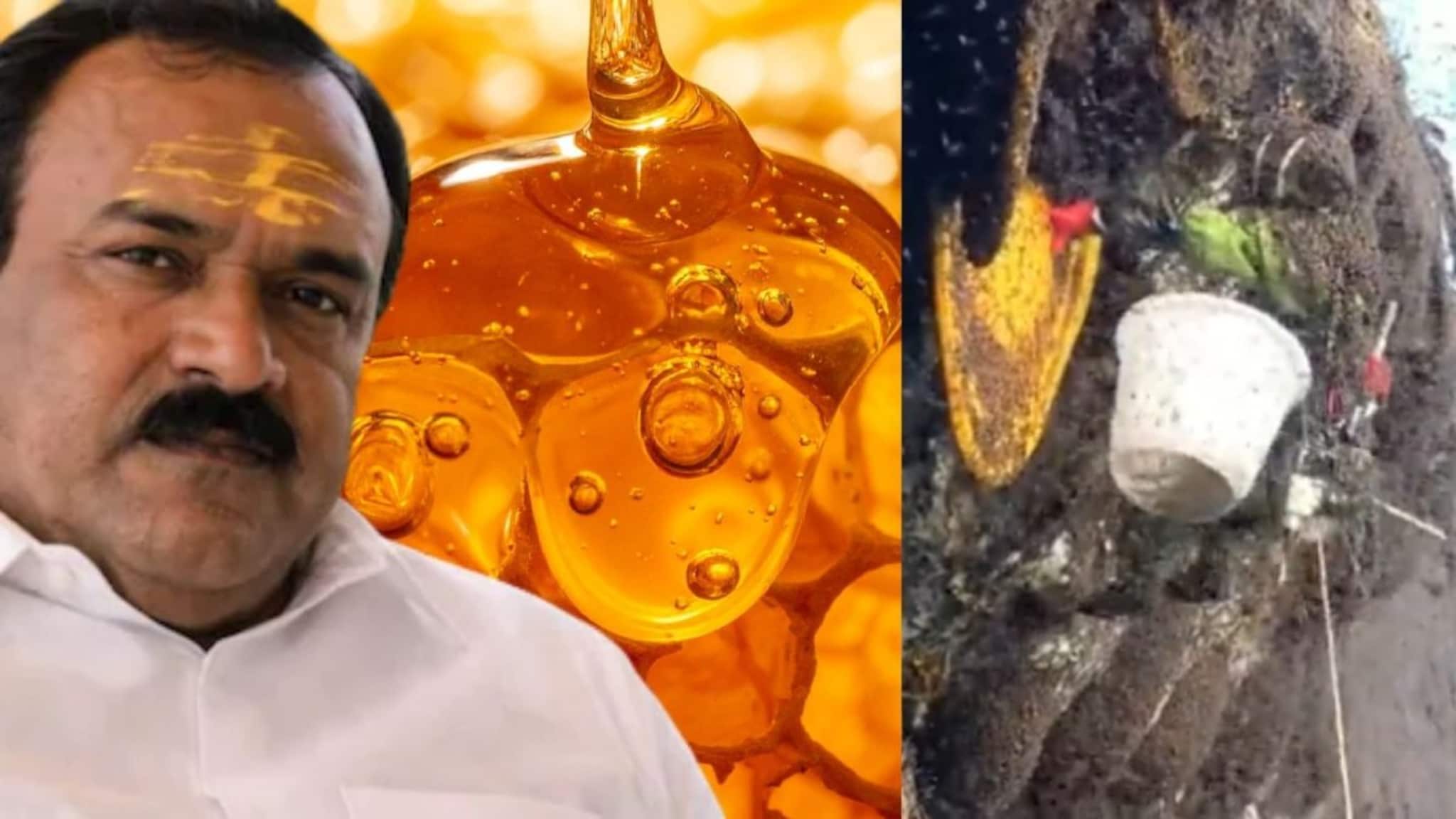 VIDEO : नाशिकच्या ढोंगी बाबाने ज्या 'एल्विश हनी'ने ठगवलं, तो खरंच इतका महाग का? पाहा 1800 फूट खोल गुहेत मध कसा काढला जातो