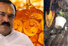 VIDEO : नाशिकच्या ढोंगी बाबाने ज्या 'एल्विश हनी'ने ठगवलं, तो खरंच इतका महाग का? पाहा 1800 फूट खोल गुहेत मध कसा काढला जातो