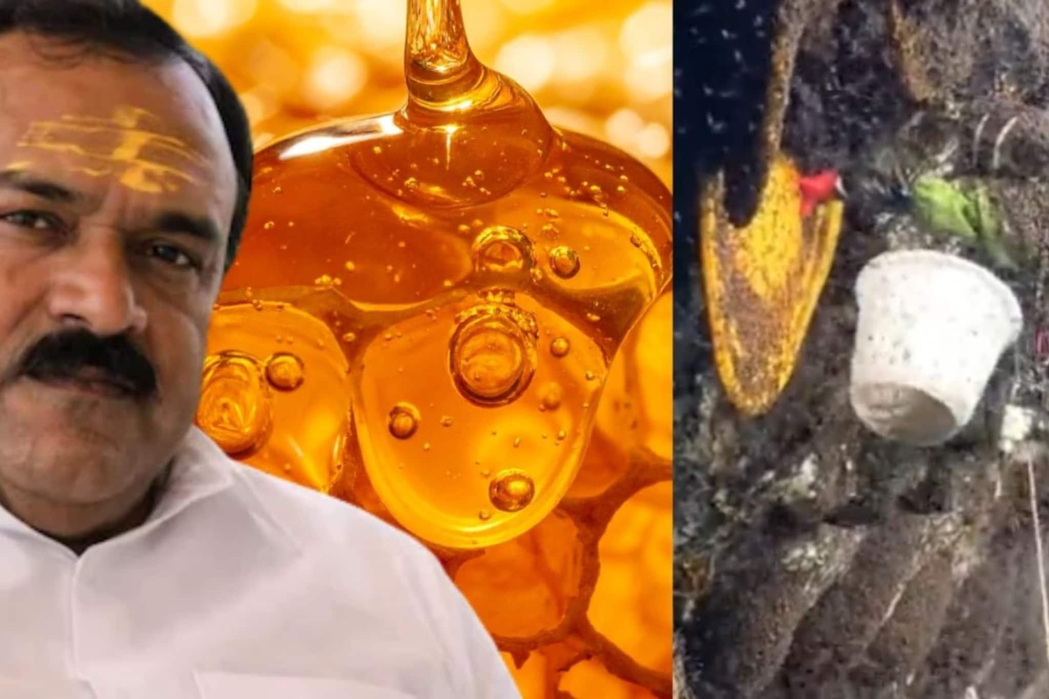 VIDEO : नाशिकच्या ढोंगी बाबाने ज्या 'एल्विश हनी'ने ठगवलं, तो खरंच इतका महाग का? पाहा 1800 फूट खोल गुहेत मध कसा काढला जातो