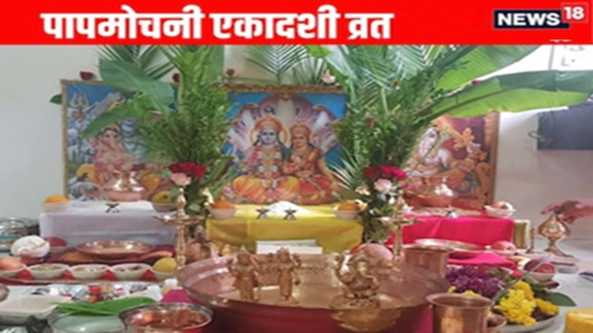 Papmochani Ekadashi 2026: द्विपुष्कर योगात आज पापमोचनी एकादशीचं व्रत; पूजा विधी-मुहूर्त, कथा पाहा