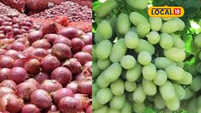 Grapes Soar to Rs 12,000, Lemons Strong; Onion Prices Vary in APMC Markets