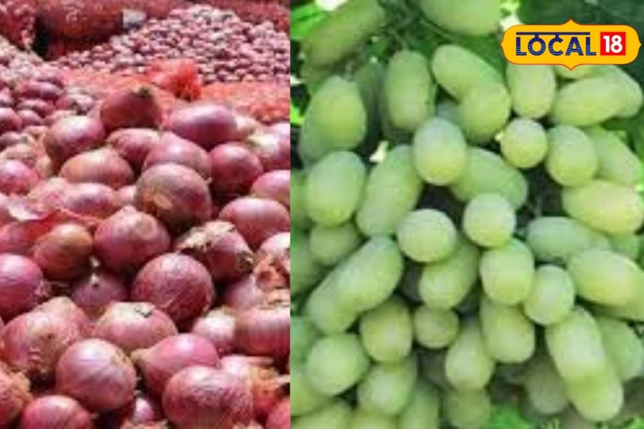 द्राक्षला 12000 रुपये भाव, लिंबू दरही तेजीत, कांद्याची काय स्थिती? Video द्राक्षला 12000 रुपये भाव, लिंबू दरही तेजीत, कांद्याची काय स्थिती? Video