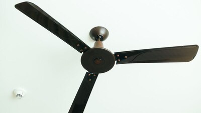 प्रतिकात्मक फोटो