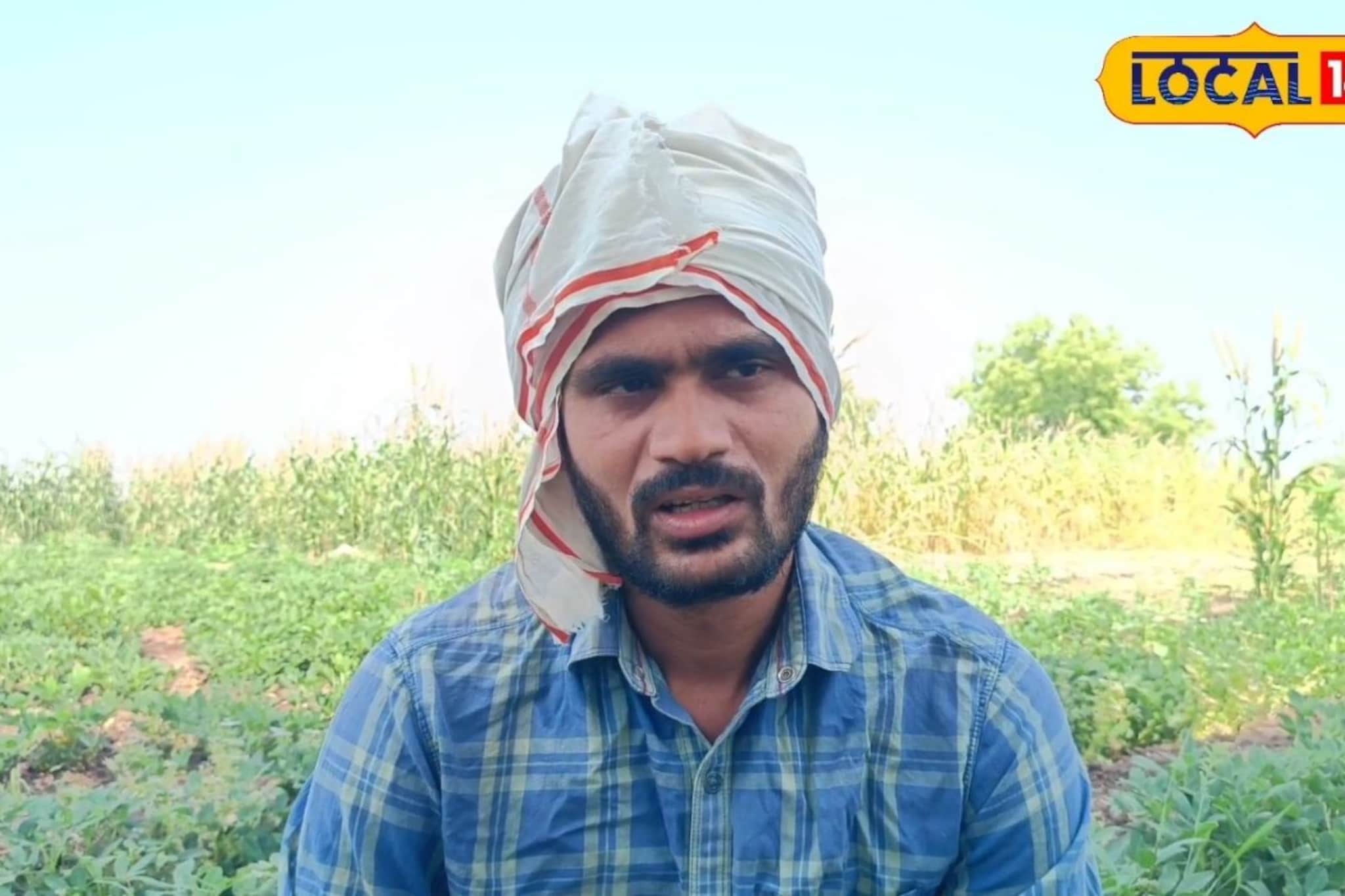 कोरडवाहू शेती अन् वर्षात लखपती, तरुण शेतकऱ्यानं कमाल केली, भूईमुग शेतीतून मालामाल, Video