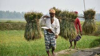 प्रतिकात्मक फोटो