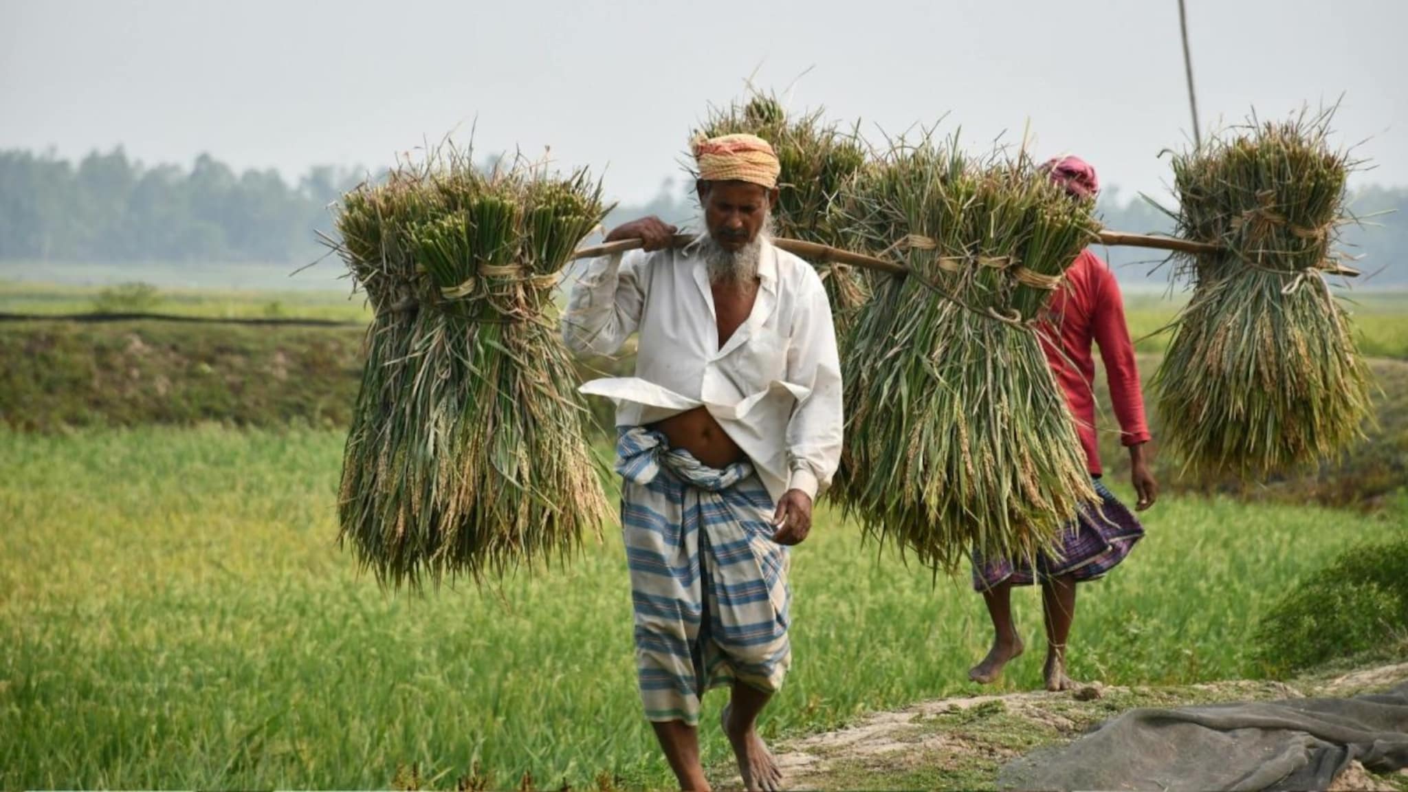 इराण-युएस युद्धाचे पडसाद आता शेतकऱ्यांवरही; सर्वसामान्यांच्या ताटातील जेवण महागणार?