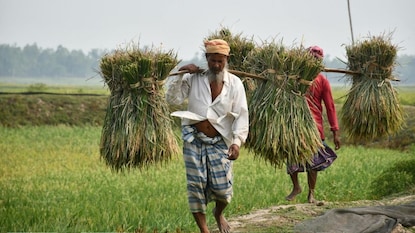 प्रतिकात्मक फोटो प्रतिकात्मक फोटो