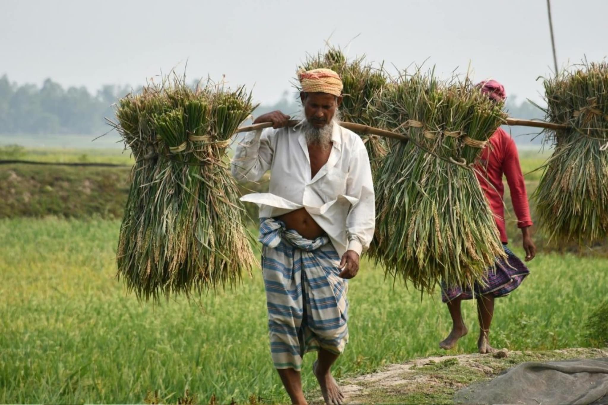 इराण-युएस युद्धाचे पडसाद आता शेतकऱ्यांवरही; सर्वसामान्यांच्या ताटातील जेवण महागणार? इराण-युएस युद्धाचे पडसाद आता शेतकऱ्यांवरही; सर्वसामान्यांच्या ताटातील जेवण महागणार?
