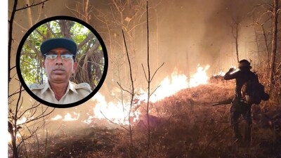 Forest Guard Dies Battling Yavatmal Blaze; Fell From Tree After 60% Burns