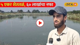 Video: नोकरी सोडून मत्स्यपालनाकडे वळला, ५ एकर शेततळं, ६० लाखांचा नफा, स्टोरी वाचायलाच लागतीय