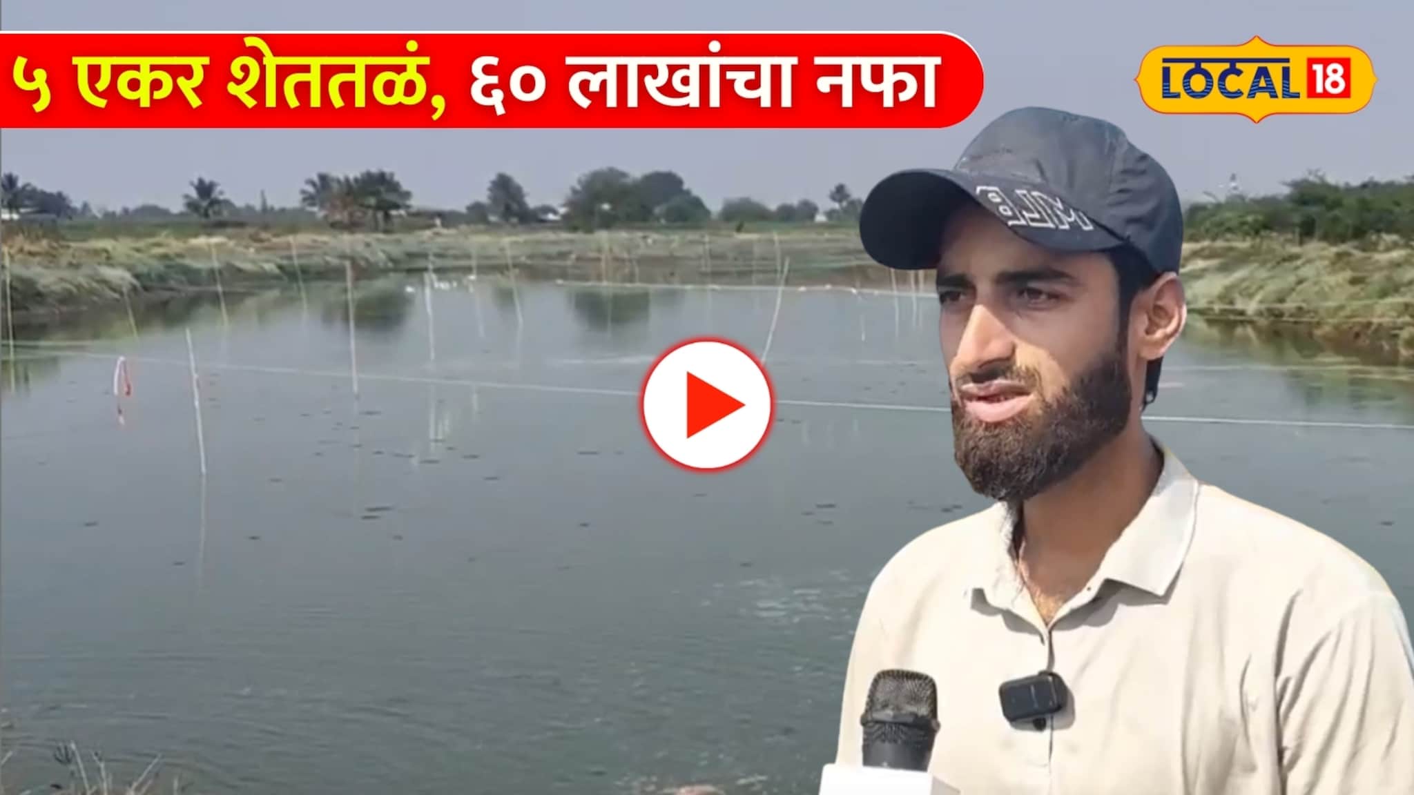 Video: नोकरी सोडून मत्स्यपालनाकडे वळला, ५ एकर शेततळं, ६० लाखांचा नफा, स्टोरी वाचायलाच लागतीय