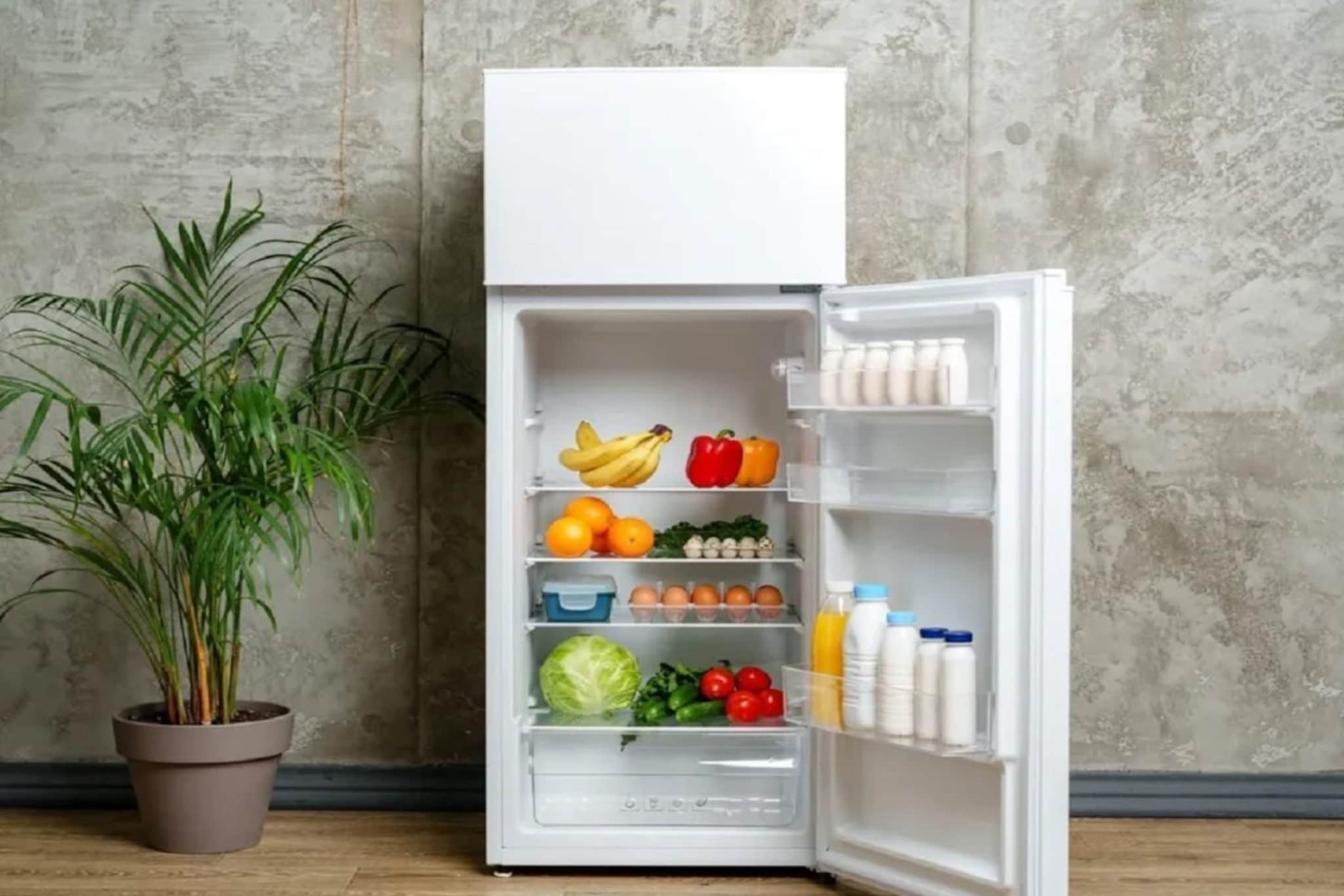 उन्हाळ्यात 90% टक्के लोक करतात फ्रीजची 'ही' चूक! तुम्हीही करत असाल तर सावधान, वाढू शकतं वीज बिल 