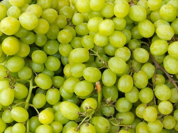 द्राक्षावरील पांढरा थर मेण की घातक कीटकनाशक? धुण्यासाठी पाणी नाही वापरा ही पद्धत