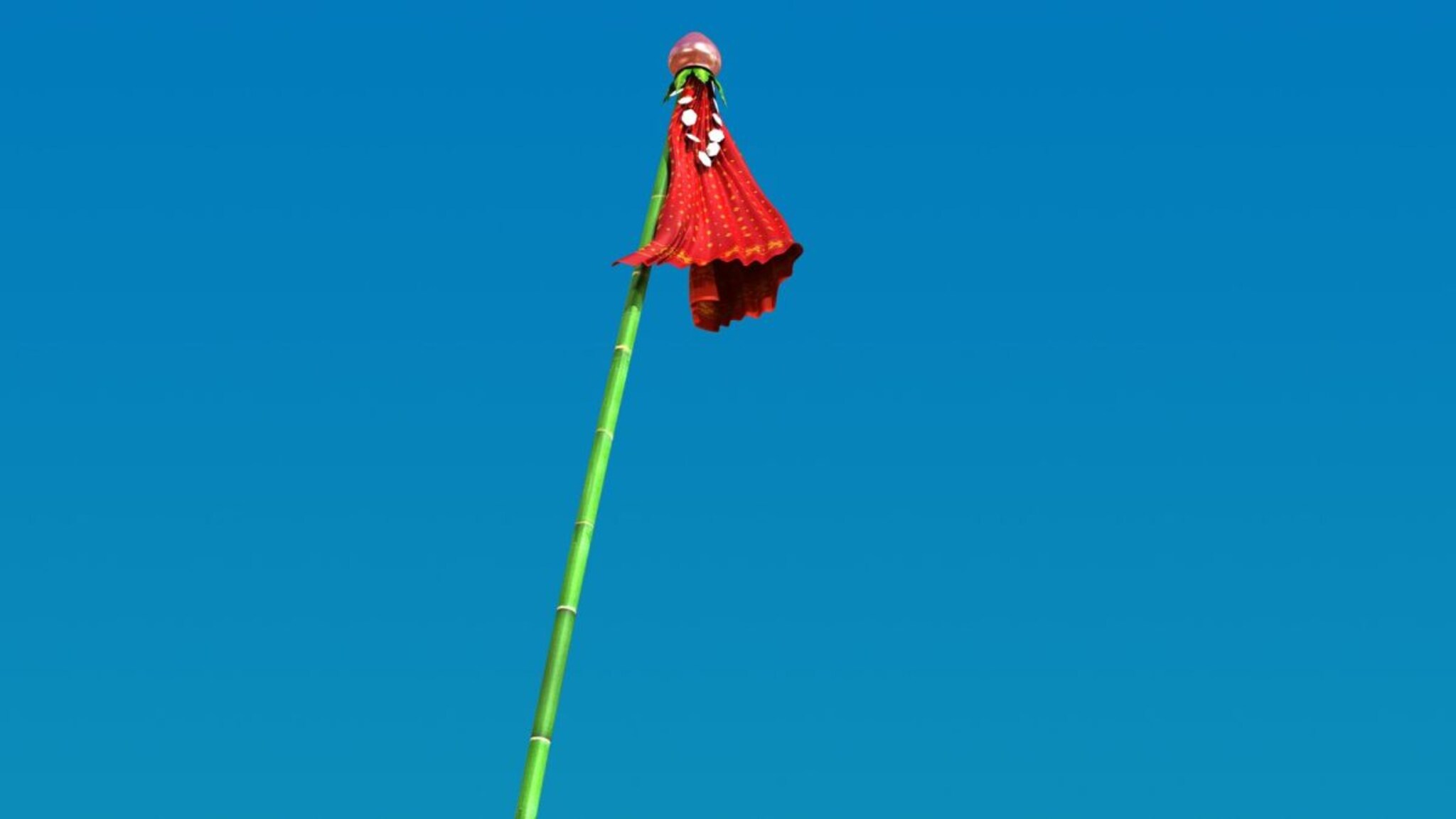 Gudhi Padwa 2026: जरीकाठाची हवीच बाई! गुढीकाठीसाठी कोणत्या रंगाची साडी शुभ आणि परफेक्ट