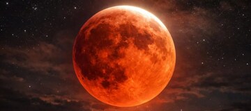 उरला फक्त 1 तास! ग्रहणापूर्वी करा 'हे' एक काम, नाही तर होईल मोठं नुकसान उरला फक्त 1 तास! ग्रहणापूर्वी करा 'हे' एक काम, नाही तर होईल मोठं नुकसान