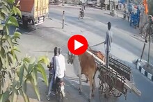 Jalgaon News : भरधाव खाजगी बसने बैलगाडीला उडवलं,अंगावर काटा आणणारा अपघाताचा VIDEO