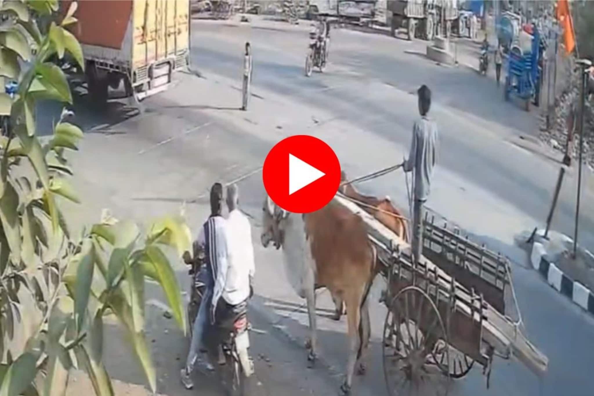 Jalgaon News : भरधाव खाजगी बसने बैलगाडीला उडवलं,अंगावर काटा आणणारा अपघाताचा VIDEO