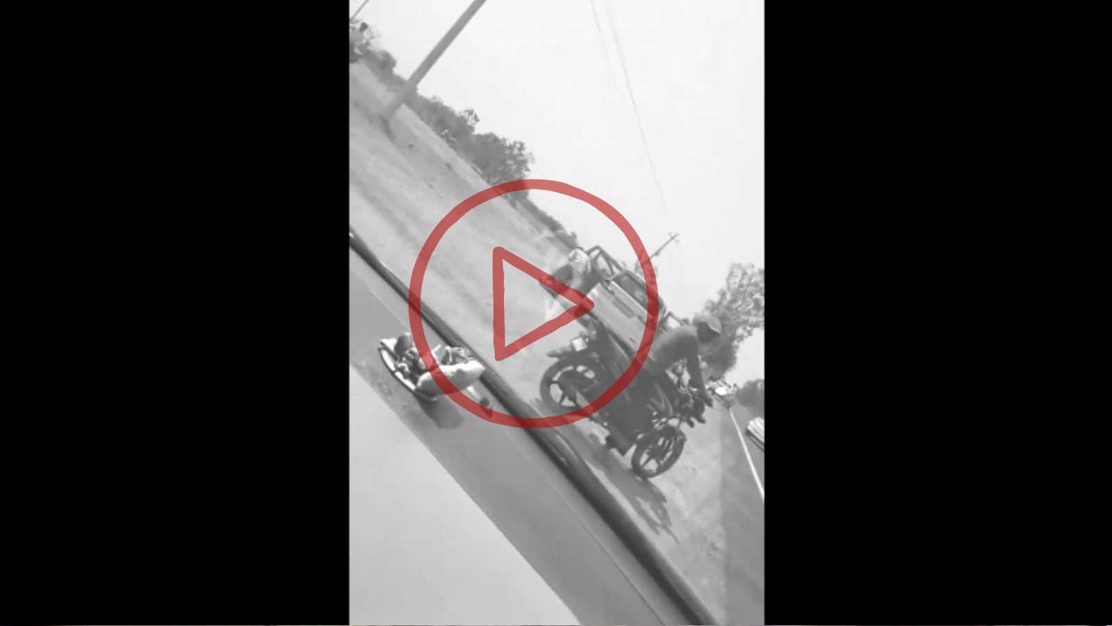 (हा व्हिडीओ मन विचलित करणार आहे, व्हिडीओ पाहण्यासाठी फोटोवर क्लिक करा)