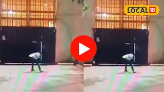 कल्याणमधील आधारवाडी जेलबाहेर भाईच्या गँगने फटाके उडवत जल्लोष केल्याचे दिसत आहे. कल्याणमधील आधारवाडी जेलबाहेर भाईच्या गँगने फटाके उडवत जल्लोष केल्याचे दिसत आहे.