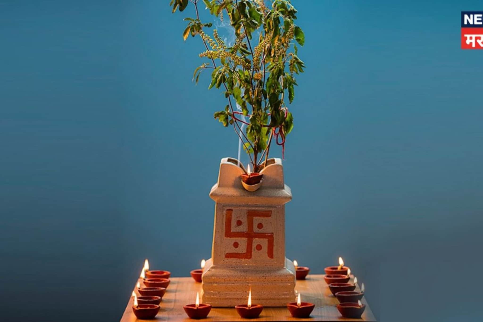 कामदा एकादशीला तुळशीचे 'हे' 5 उपाय कराच, घराला लागलेली गरिबीची कळा कायमची होईल दूर!