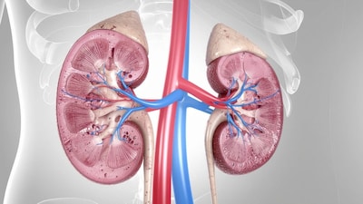 प्रतिकात्मक फोटो