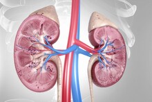 Kidney Health : सकाळी उठल्यावर चेहऱ्यावर सूज येतेय? लघवीचा रंग बदललाय? किडनी निकामी होण्याची 'ही' 5 सुरुवातीची लक्षणं