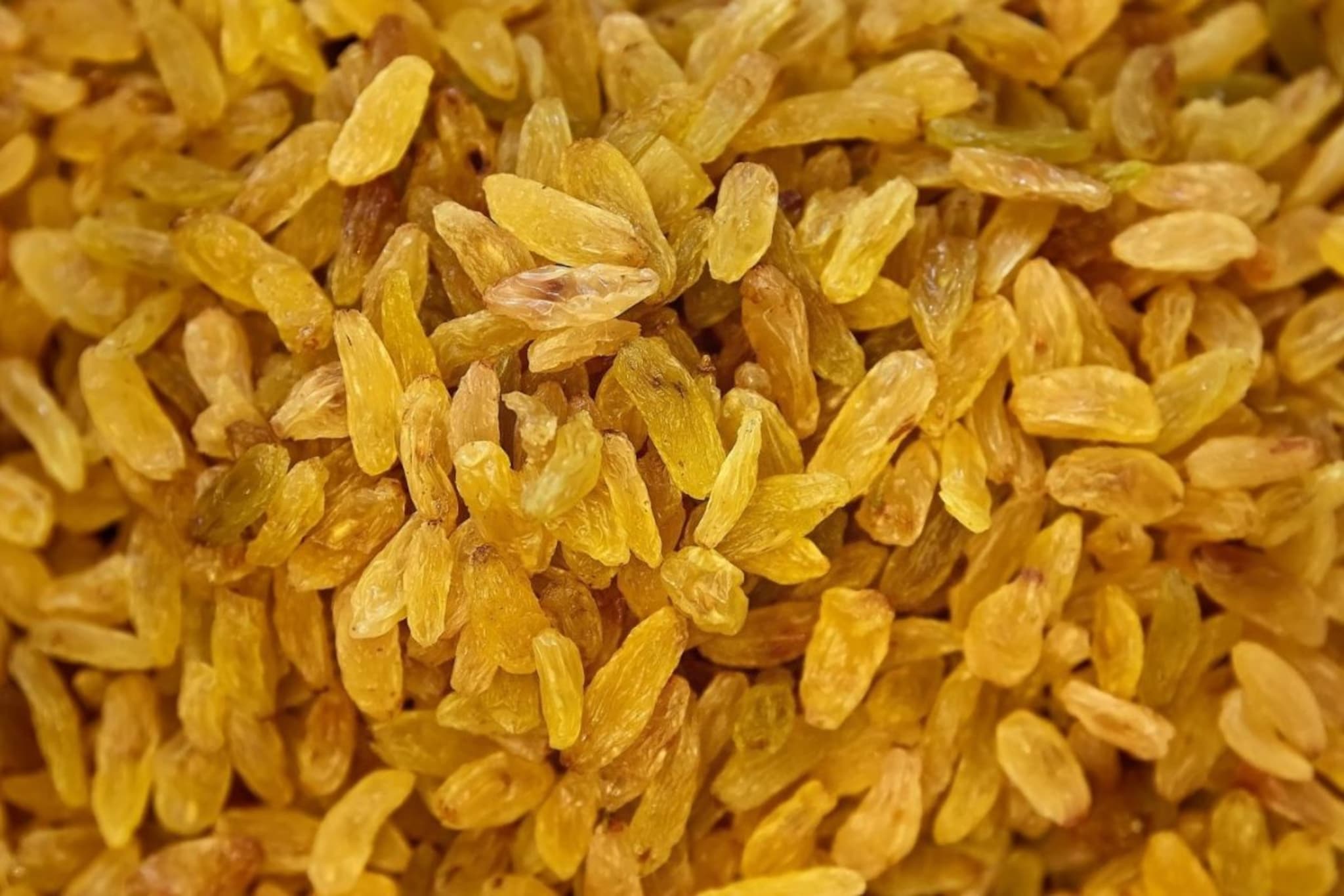 Grapes : घरच्या घरी द्राक्षांपासून कसे बनवाल मनुका? 1 किलोसाठी किती द्राक्ष लागतील, प्रमाण आणि पद्धत लगेच जाणून घ्या Grapes : घरच्या घरी द्राक्षांपासून कसे बनवाल मनुका? 1 किलोसाठी किती द्राक्ष लागतील, प्रमाण आणि पद्धत लगेच जाणून घ्या