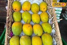 मुहूर्तावरच महागला आंबा! फळांच्या राजाला सोन्याचं मोल; गुढीपाडव्याला आवक घटली, पेटीचे दर किती? Video