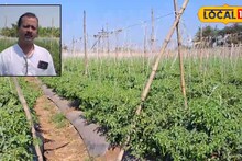 उसाच्या पट्ट्यात 'पैशाचं पीक', 15 गुंठे शेती अन् 5 महिन्यात लखपती, सांगलीच्या शेतकऱ्यानं कशी केली कमाल? Video